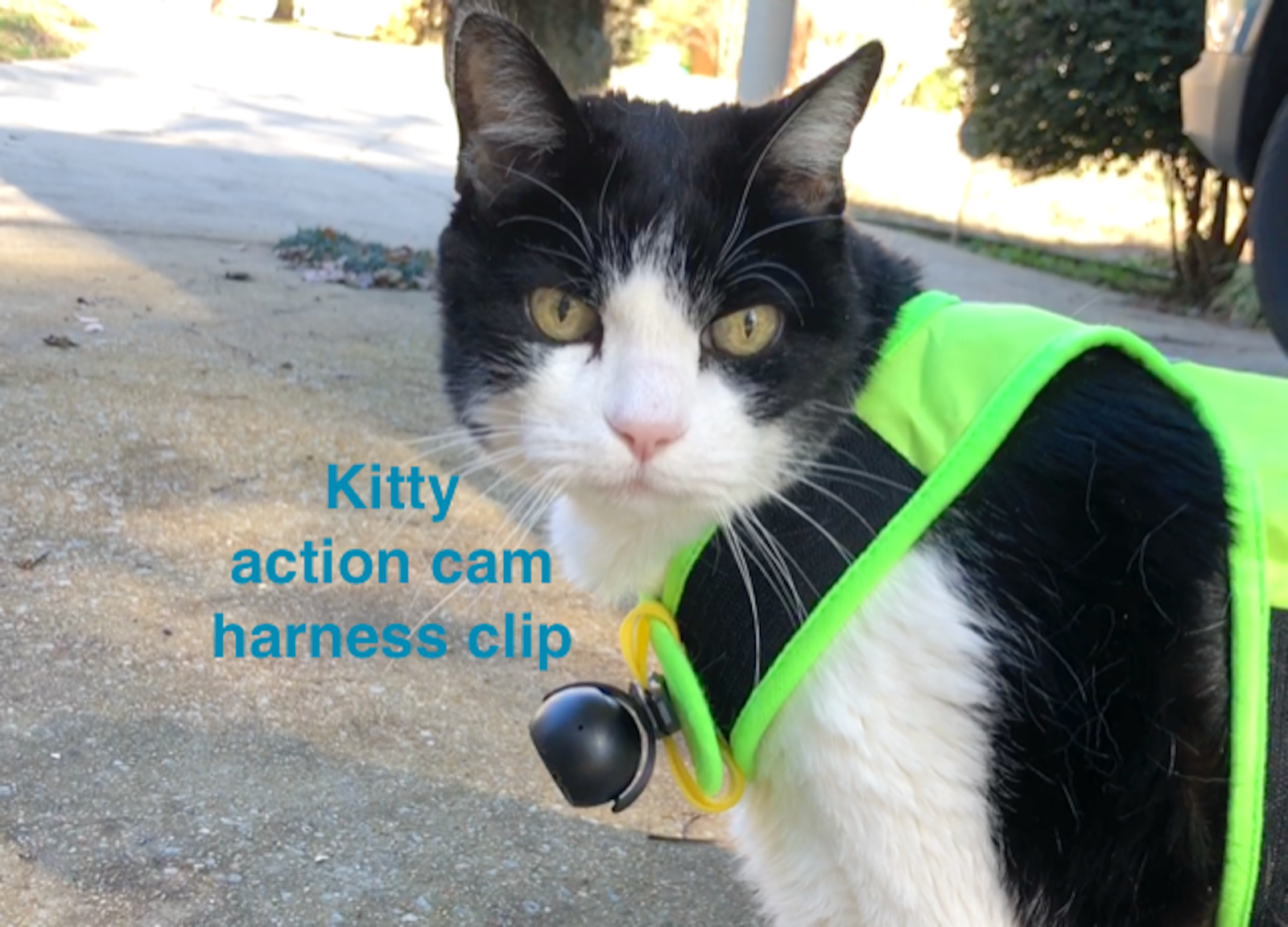 Cat Camera ONLY. The adjustable Kitty Cat Cam and clip for your cat harness