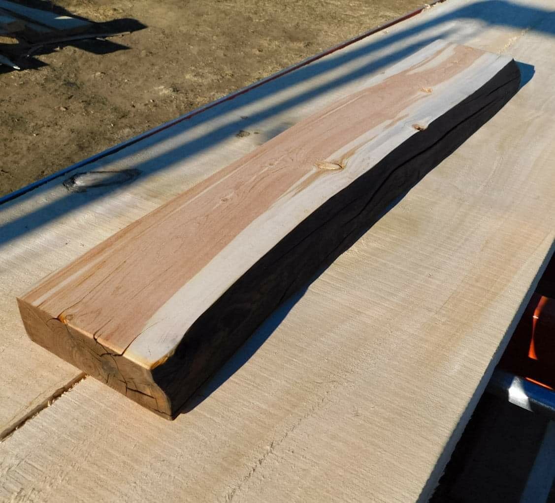 Rustic Montana Beetle Kill Blue Pine Live Edge Board Shelf Bench Top Lumber